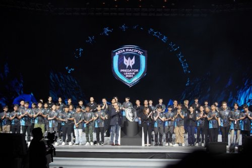 维金斯组成 维金斯组成